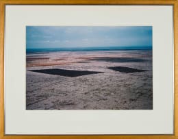 Herman Potgieter; Arid Landscape