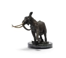 Danie de Jager; Shawu