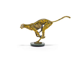 Danie de Jager; Cheetah