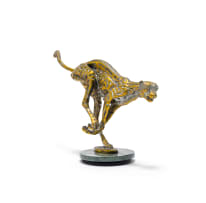 Danie de Jager; Cheetah