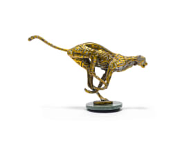 Danie de Jager; Cheetah