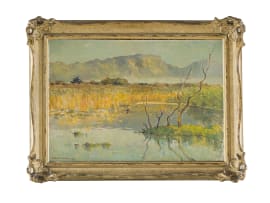 Herbert Coetzee; Zeekoevlei Early Morning