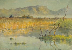 Herbert Coetzee; Zeekoevlei Early Morning