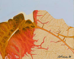 Trevor Coleman; Landscape Formations II