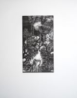 Karel Nel; Palmer's Flare