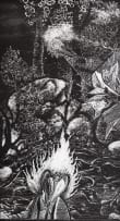 Karel Nel; Palmer's Flare