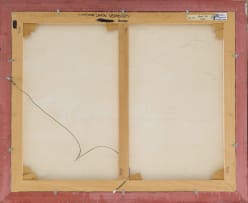 Daan Vermeulen; Camelthorn Namib