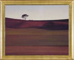 Daan Vermeulen; Camelthorn Namib