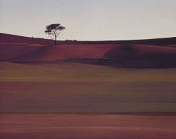 Daan Vermeulen; Camelthorn Namib
