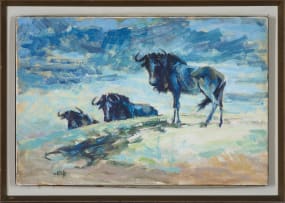 Zakkie Eloff; Wildebeest