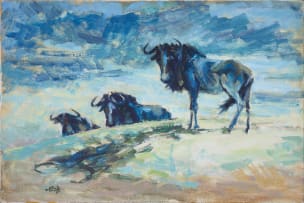 Zakkie Eloff; Wildebeest