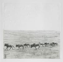 Zakkie Eloff; Etosha