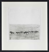 Zakkie Eloff; Etosha