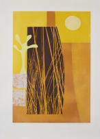 Berenice Michelow; Abstract Lunarscape