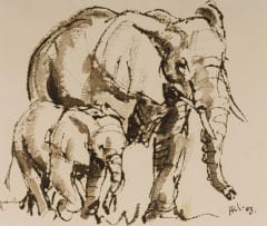 Hennie Niemann Jnr; Elephant Mother and Calf