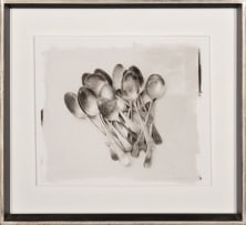Stephen Inggs; Spoons