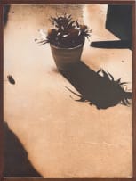 Adriaan van Zyl; Graftriptiek I, II and III, triptych (Grave Triptych I, II and III)