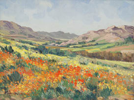 Hennie Niemann Snr; Namqualand