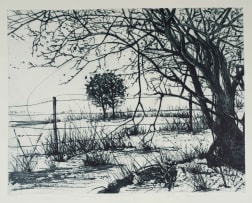 Phillemon Hlungwani; Ihomu Yale Hosini Wayikhayima