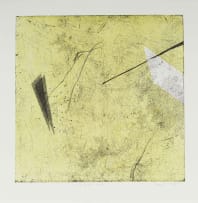 Mongezi Ncaphayi; For No Apparent Reason