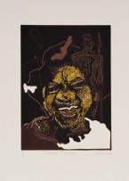 Nkosana Nhlapo; Inherited Landscape