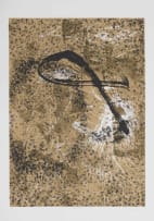 Lucas Nkgweng; XOXO-II