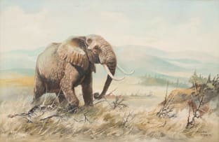 Peter Siegfried Hahn; Elephant in a Landscape