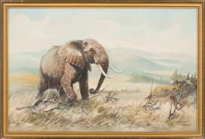 Peter Siegfried Hahn; Elephant in a Landscape
