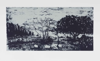 Nkosinathi Ndlandla; Greener Pastures