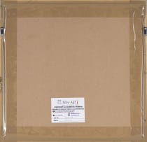 Nkosinathi Ndlandla; Ford