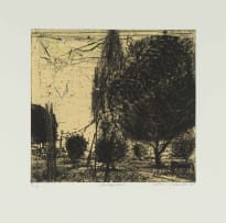 Nkosinathi Ndlandla; Integrated