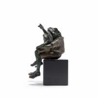 Carol Cauldwell; Frog (Star gazer)
