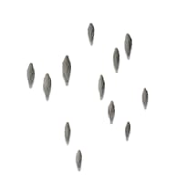 Ledelle Moe; Findings, twelve