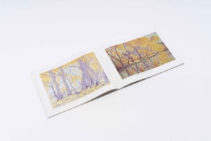 Wilhelm van Rensburg; Pierneef: A Space for Landscape