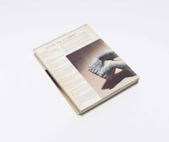 Bruce Arnott; Lippy Lipshtiz, Biography & Catalogue raisonné