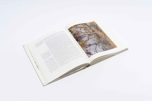 J du P Scholtz; Strat Caldecott