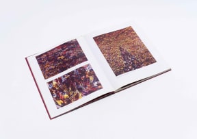 Goodman Gallery; Penny Siopis