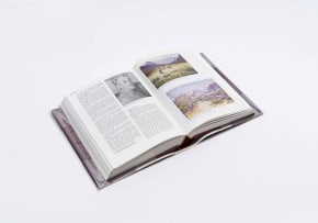 Esmé Berman; Art & Artists of South Africa