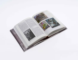 Esmé Berman; Art & Artists of South Africa