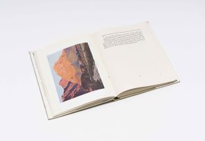 Joyce Newton Thompson; Gwelo Goodman: South African Artist