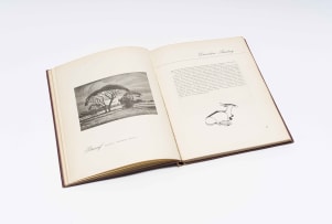 Dr A C Bouman; Painters of South Africa