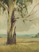 Christopher Tugwell; Tree in a Landscape