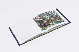 Michael Stevenson and Joost Bosland; Take Your Road and Travel Along: The Advent of a Black Modern Painter in Africa