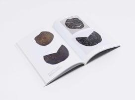 Wilhelm van Rensburg; High Printing: The Woodcuts, Wood Engravings, Linocuts and Metal Cutouts of Walter Battiss