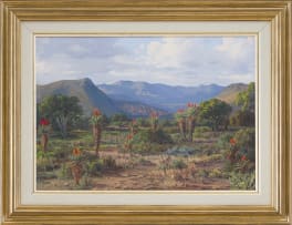 Vera Volschenk; Aloes - near Cookhouse, Alwyne - naby Cookhouse