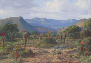 Vera Volschenk; Aloes - near Cookhouse, Alwyne - naby Cookhouse