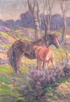 Allerley Glossop; Horses in a Field