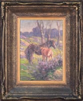 Allerley Glossop; Horses in a Field