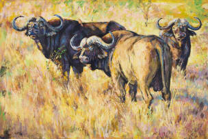 Zakkie Eloff; Three Buffalo