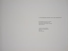 Cecil Skotnes; Woltemade's Eighth and Last Endeavour, from The White Monday Disaster portfolio